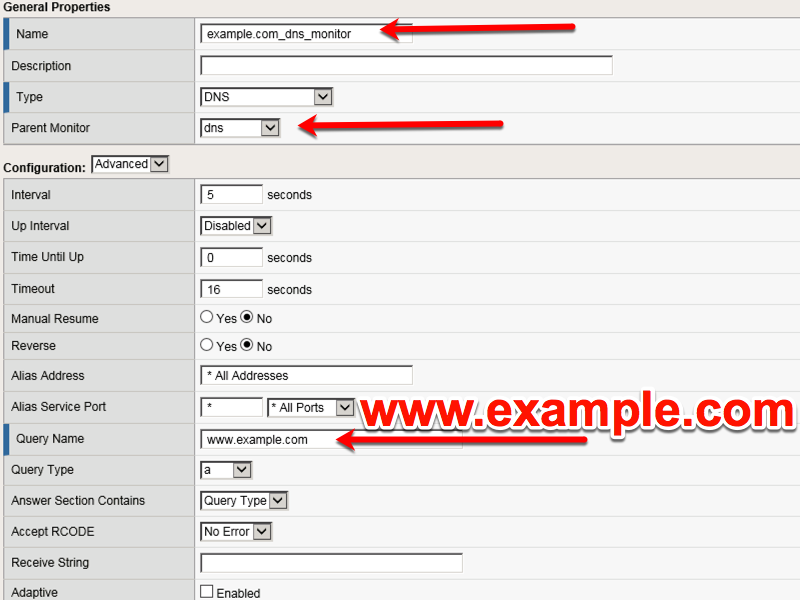 ../../_images/class2_dns_monitor_create_properties.png
