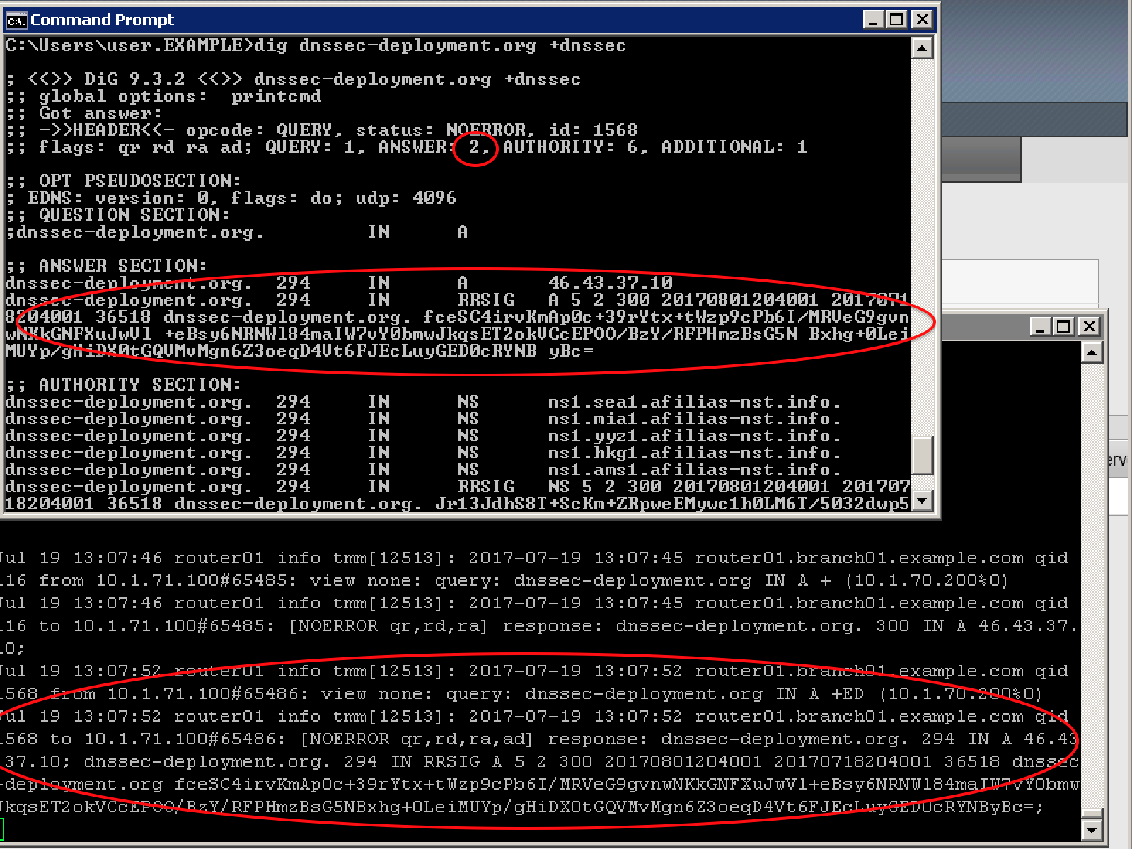 ../../_images/dnssec-resolver-results.png